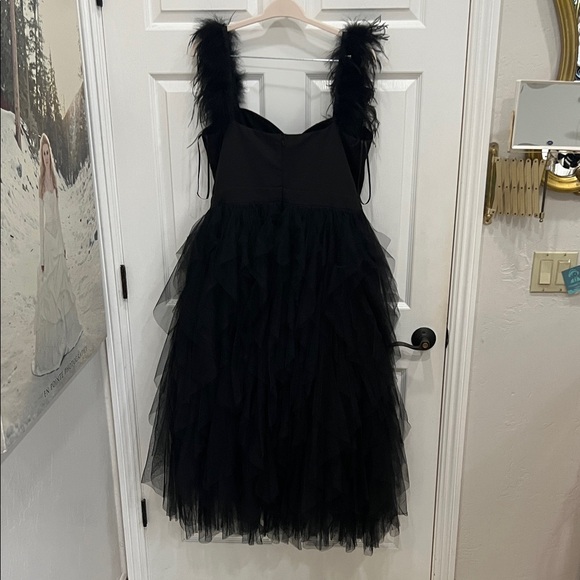 NWT Black Feather Strap Tulle Dress - Picture 9 of 11
